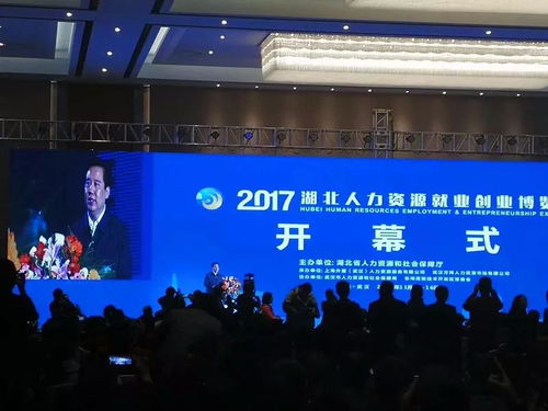 2017湖北人力資源就業(yè)創(chuàng)業(yè)博覽會(huì)在漢隆重舉行
