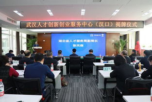 加快江漢人力資源服務(wù)產(chǎn)業(yè)集聚 武漢人才創(chuàng)新創(chuàng)業(yè)服務(wù)中心 漢口 揭牌成立